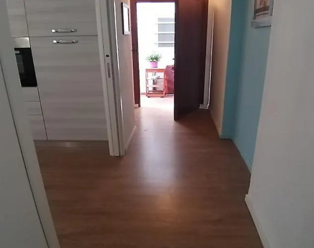 Vignasse 31 سان لورينسو أل ماري